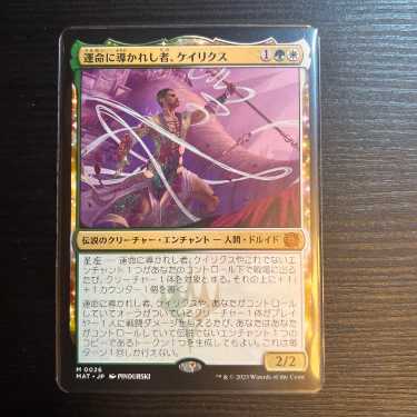 MTG 運命に導かれし者、ケイリクス  1枚
