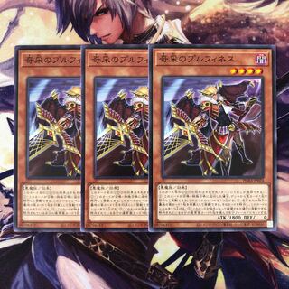 奇采のプルフィネス ノーマル JP024