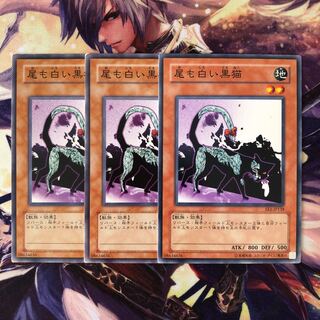 尾も白い黒猫 ノーマルレア