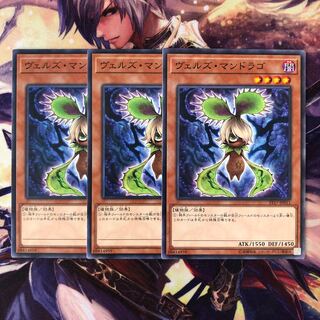 ヴェルズ・マンドラゴ ノーマル