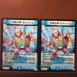 セット割引 万年の甲ガメッシュ