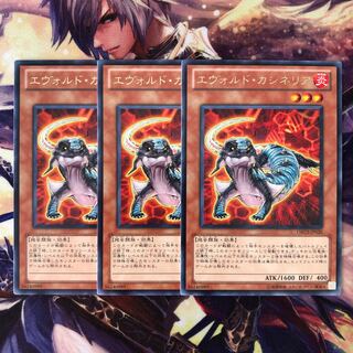 エヴォルド・カシネリア レア JP026