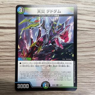 天災 デドダム R 33/75  1枚