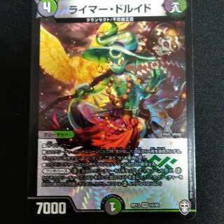 ライマードルイド