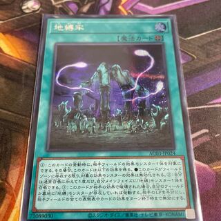 [same day shipping] Jibanjou Secret