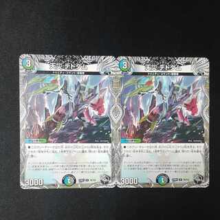 Natural disaster Dedom (Black Treasure) R T6/T10