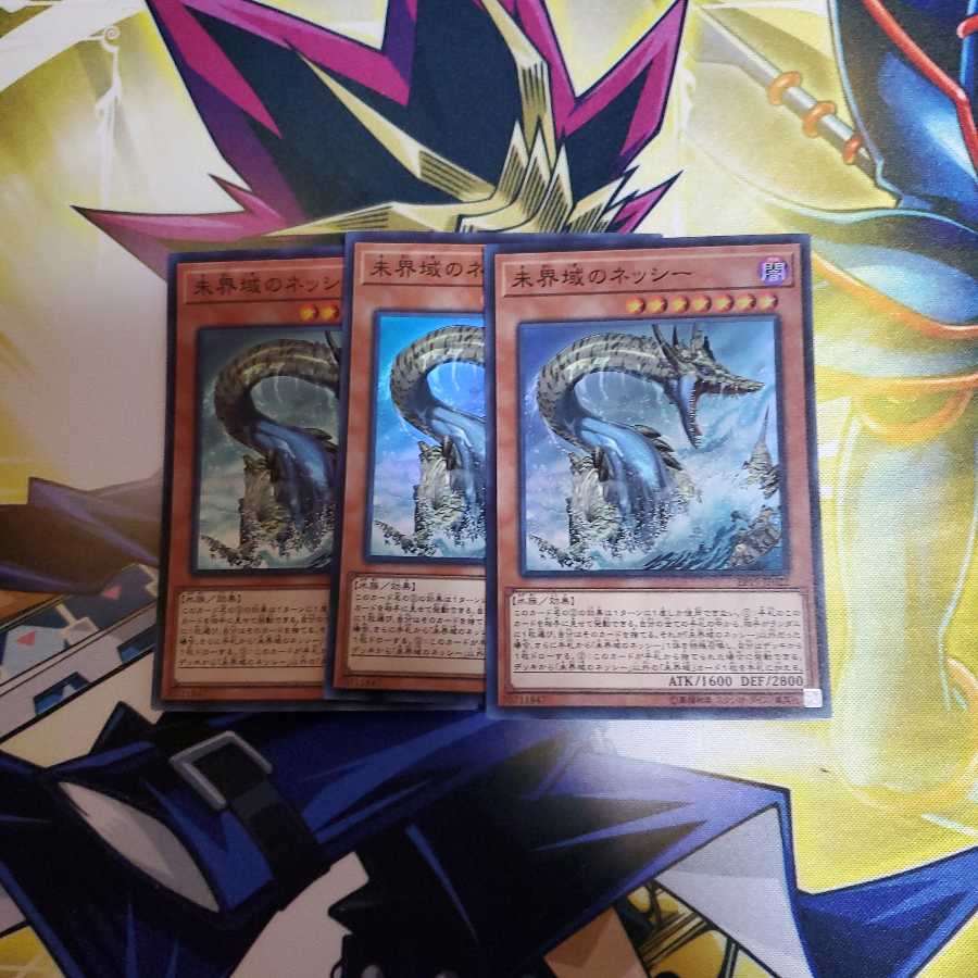 未界域のネッシー