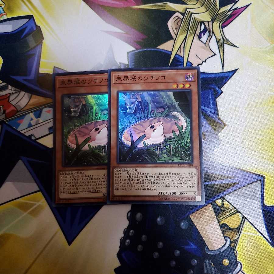 未界域のツチノコ×2