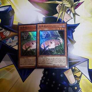 未界域のツチノコ×2