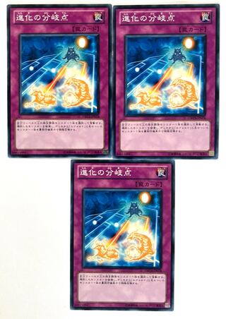 進化の分岐点【ノーマル】JP074