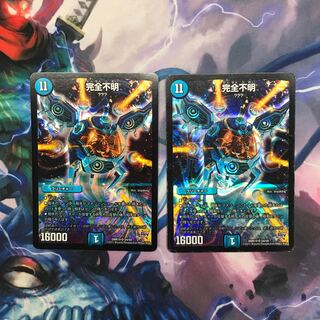 たいぽん様専用　完全不明2枚セット