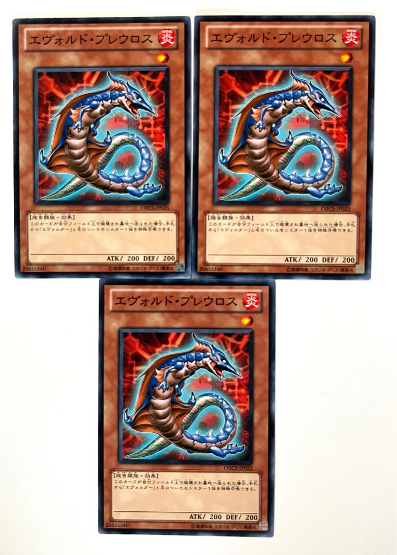 エヴォルド・プレウロス ノーマル JP025