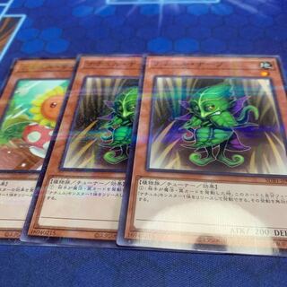 ナチュル・ナーブ パラレル ノーマル JP061 他 1枚