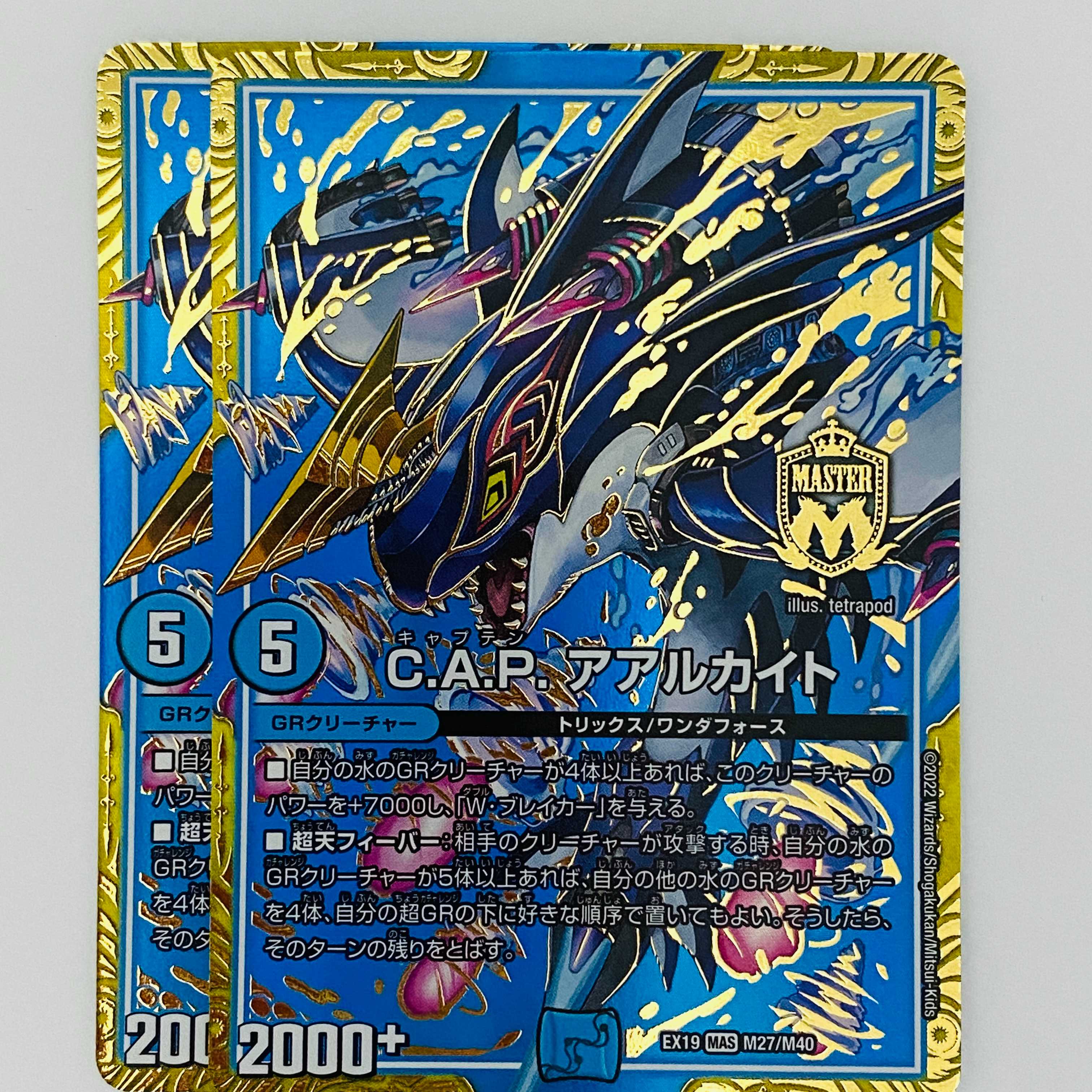 C.A.P. Aarchite, 2 sheets, DM-EX-19-M27