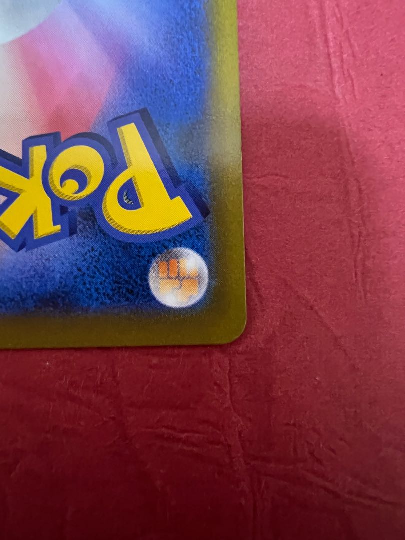 Rhododendron SR 081/067