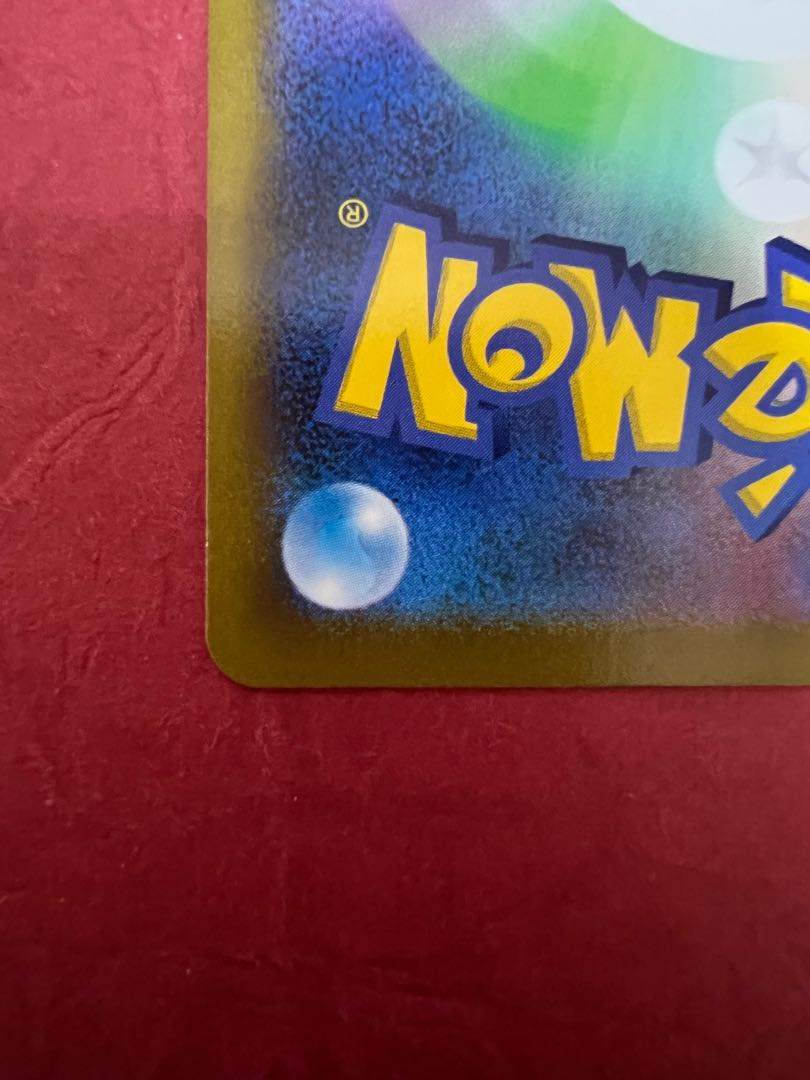 Rhododendron SR 081/067