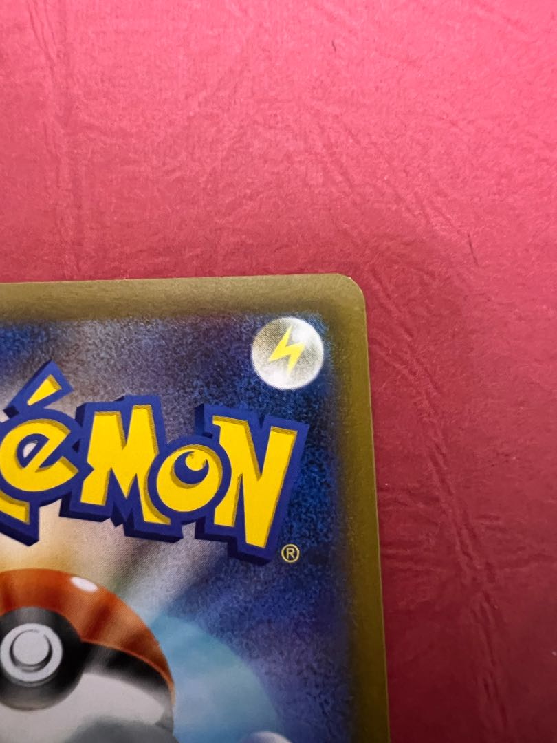 Rhododendron SR 081/067