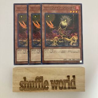 Lonefire Blossom 560