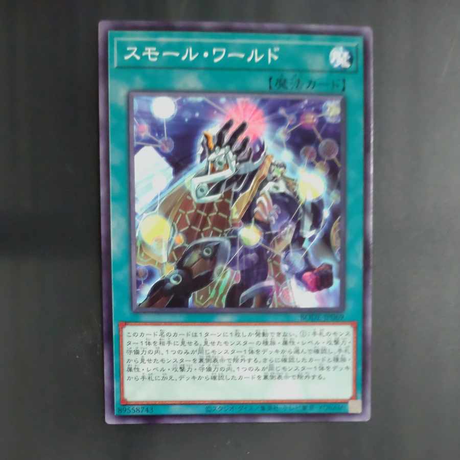 Small World Normal rare JP069 [Korindo