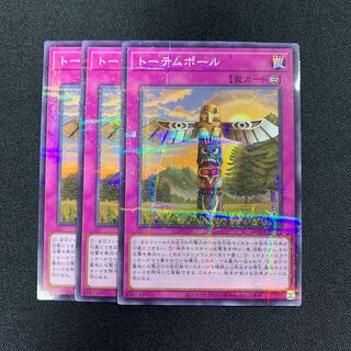 Totem Pole Normal Parallel JP011