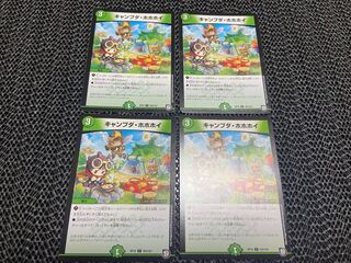 【TAKUMI】キャンプダ・ホホホイ C 103/103 4枚　い-401