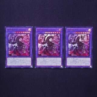 Grand Guignol the Lost Dragon Ultra, set of 3 /Managed by MY1218
