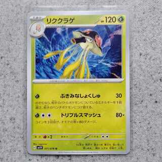 cloud ear fungus (Auricularia polytricha)