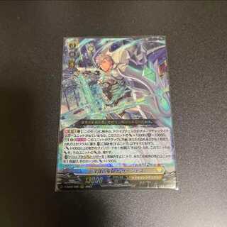 Vanguard: The Holy Knight of Deep Plotting, Surgess