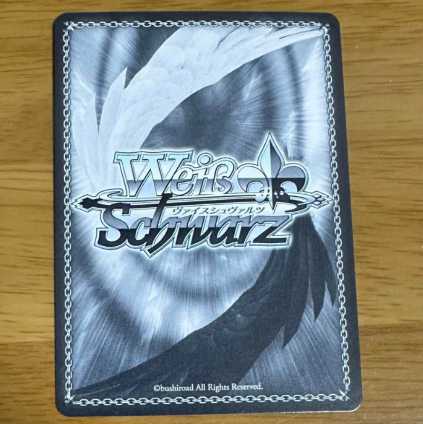 Kimi to Hosho Mirai Lapras Darkness Normal