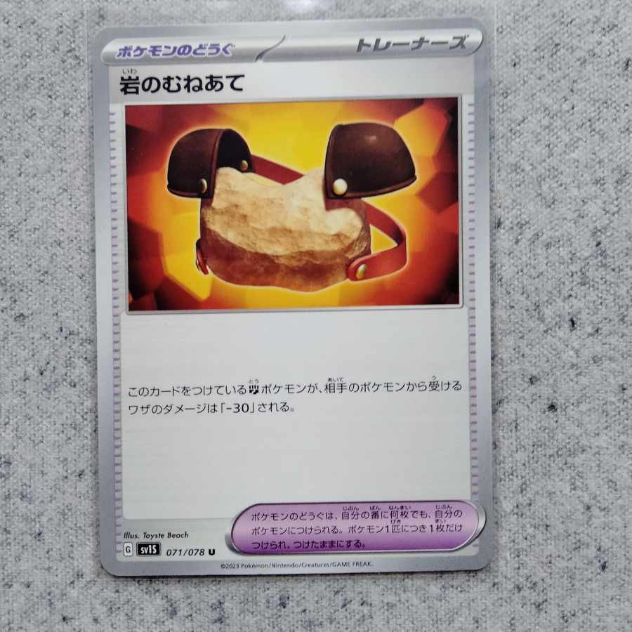 Pyrrosia tricuspis (species of felt fern)