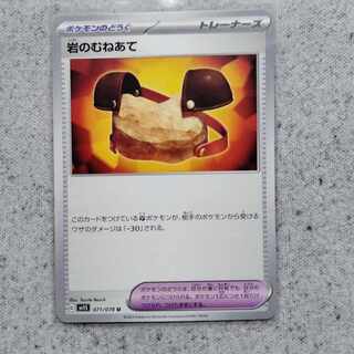 Pyrrosia tricuspis (species of felt fern)