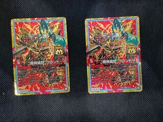 41山室  魔神轟怒ブランド2枚セット