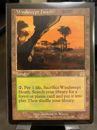 吹きさらしの荒野　オンスロート　英語 Nonfoil