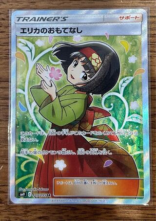 Erika's Hospitality SR 107/095