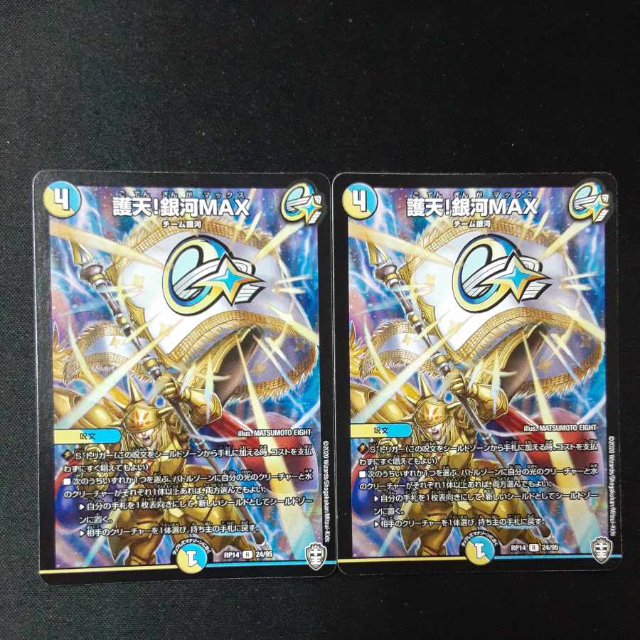 Proten! Ginga MAX R 24/95