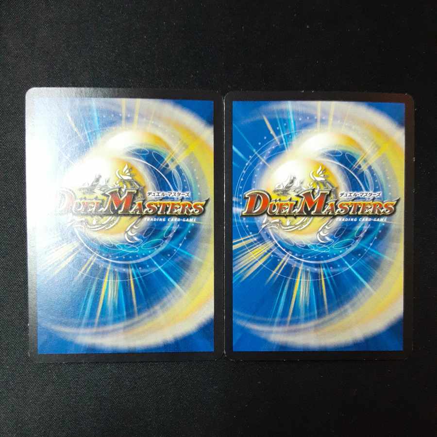 Proten! Ginga MAX R 24/95