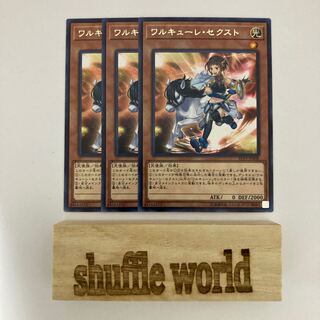 Valkyrie Sechste 587