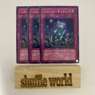 Nature's Reflection 604