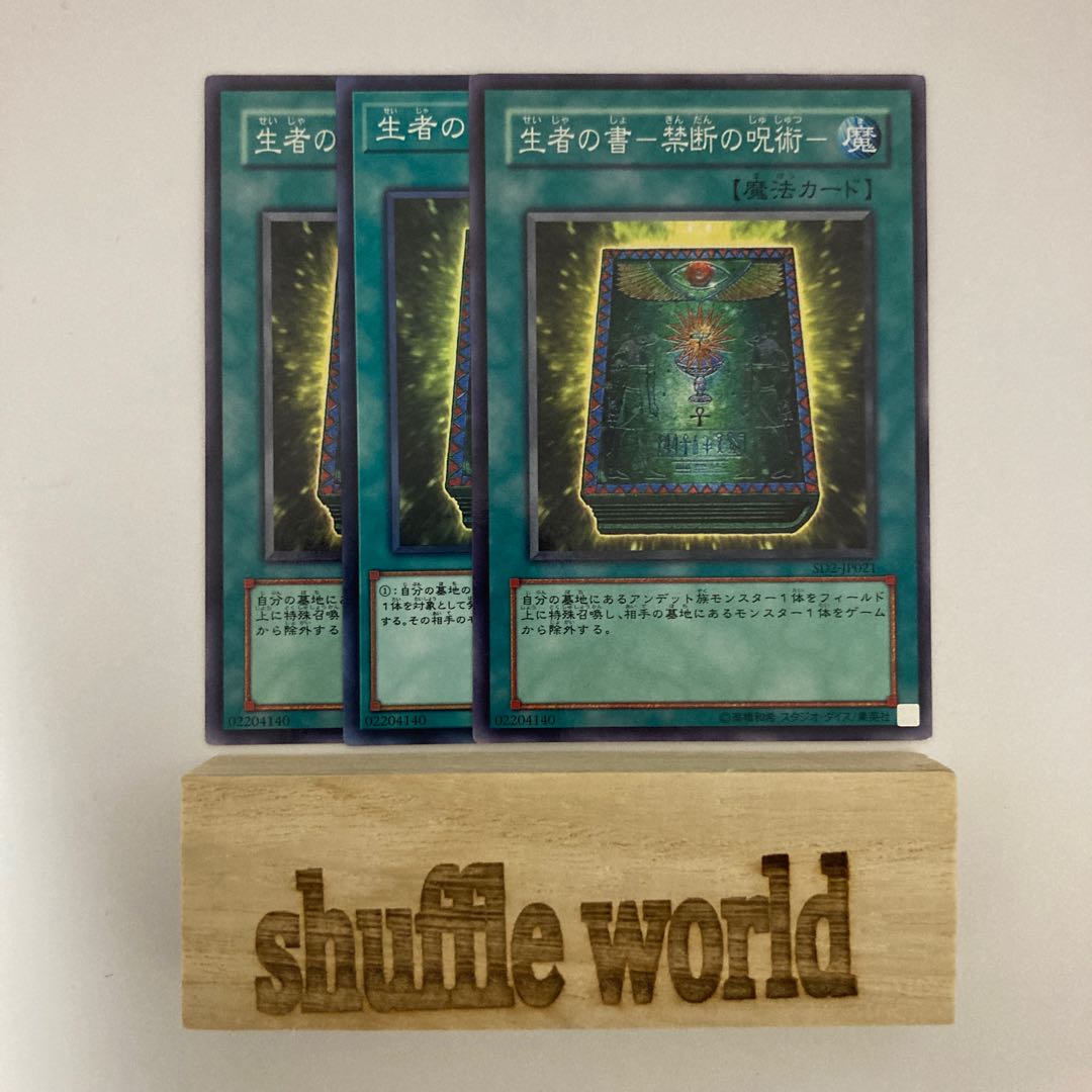 生者の書-禁断の呪術- 628