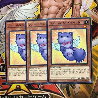 ファーニマル・キャット　3枚セット