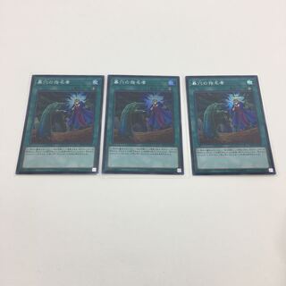 墓穴の指名者　シークレット　3枚セット　073-0300m