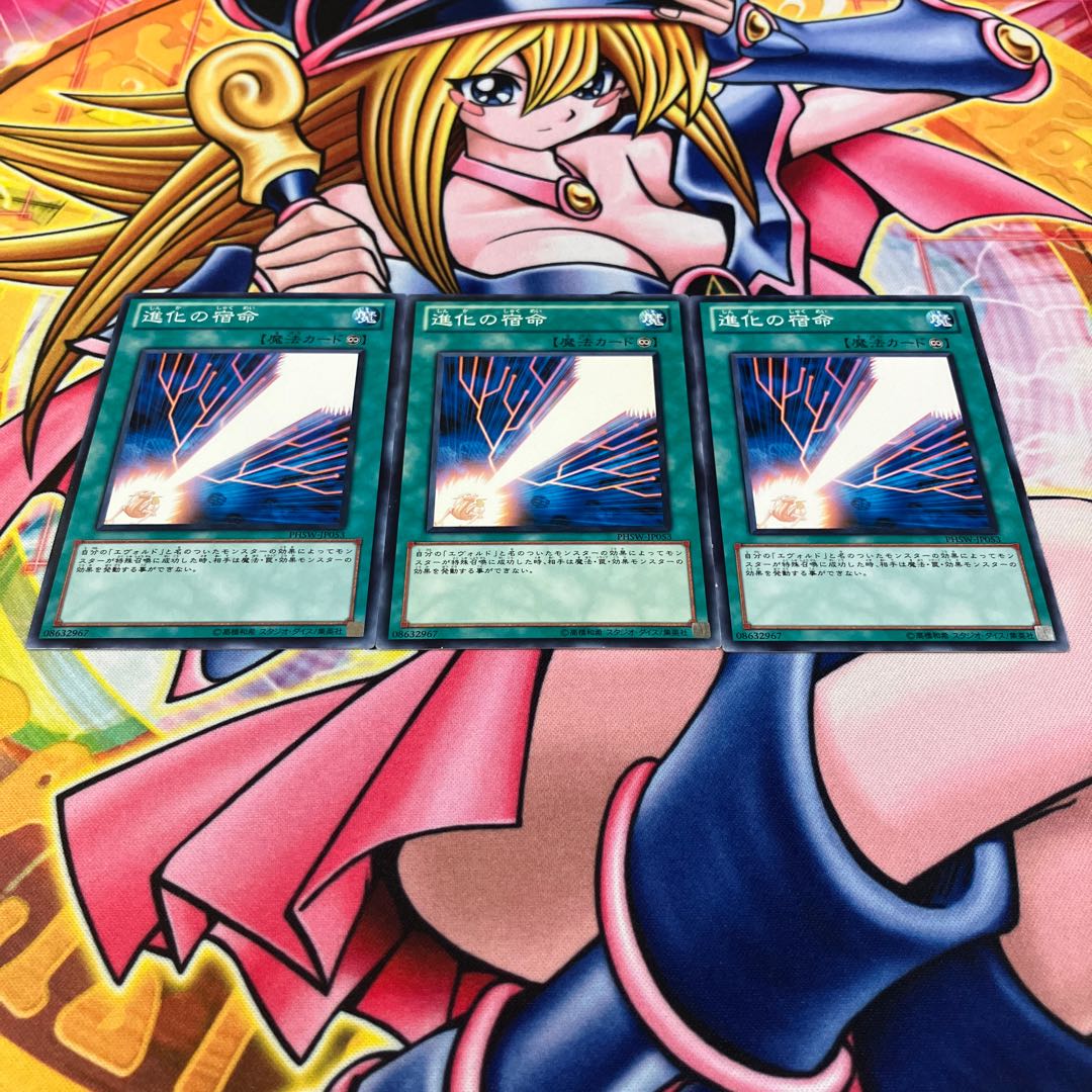 Evo-Karma Normal JP053