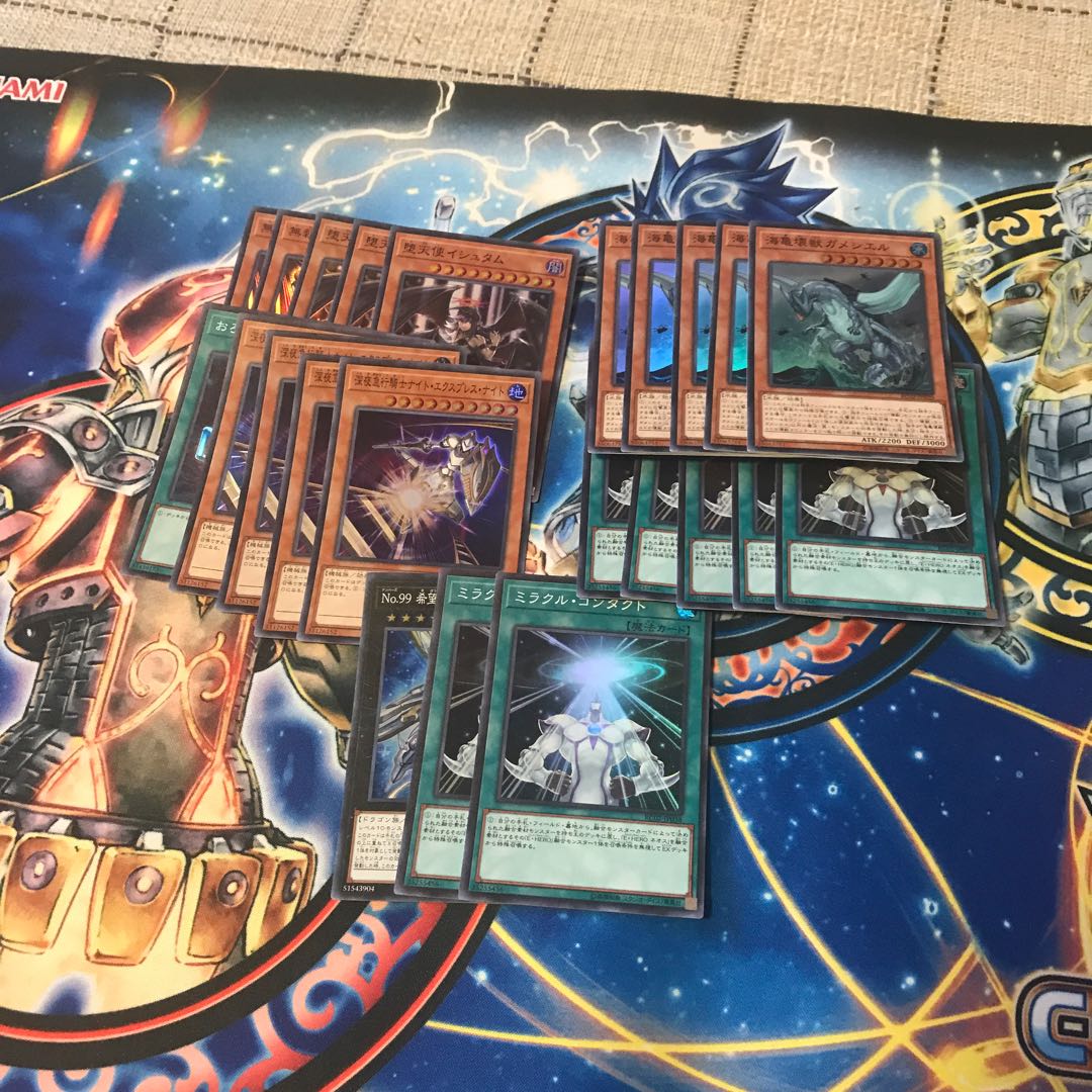 アクセラレータ様専用