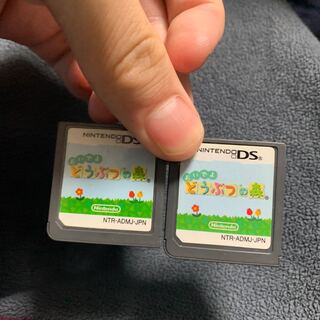 おいでよ どうぶつの森