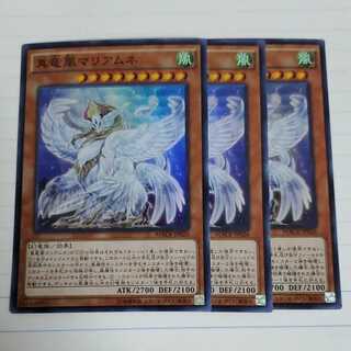 真竜凰マリアムネ　3枚