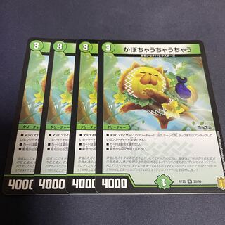 Kabocha ucha ucha ucha ucha ucha R 20/95