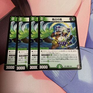 フォーチュンウィンド 1枚