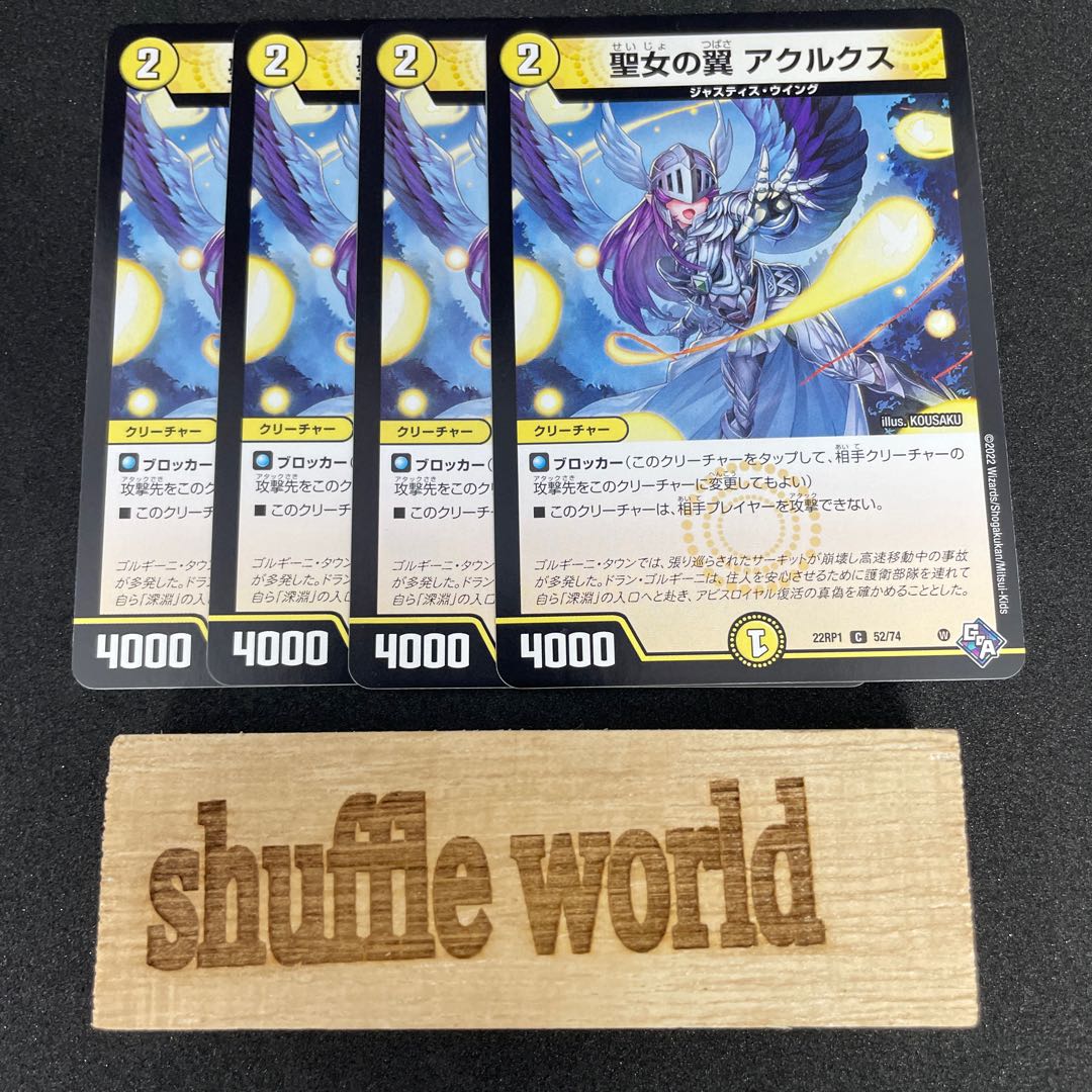 聖女の翼 アクルクス 289