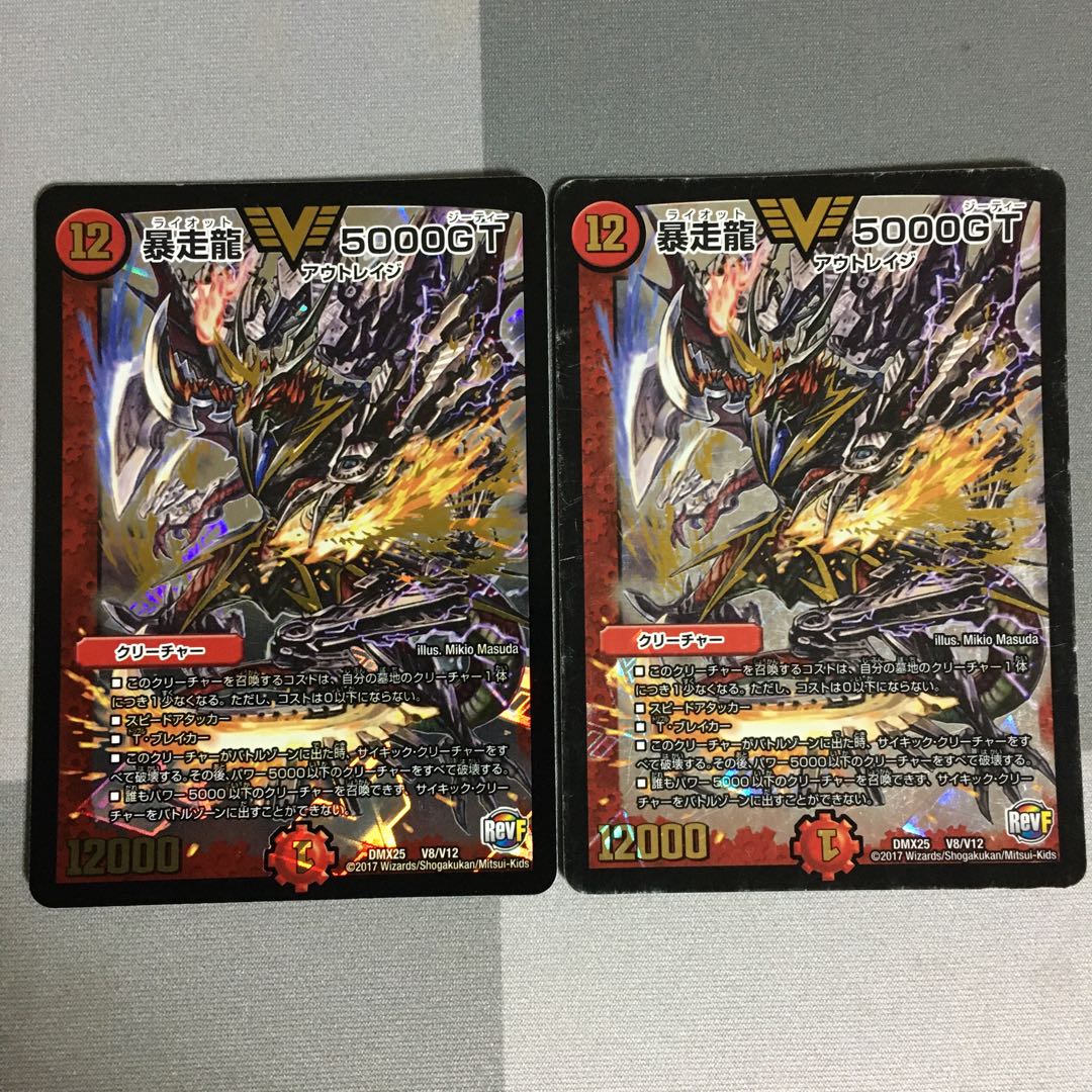 暴走龍5000GT 2枚 ライオット5000GT