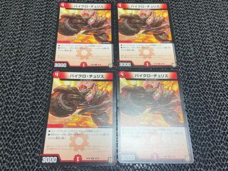 バイクロ・チュSquirrel